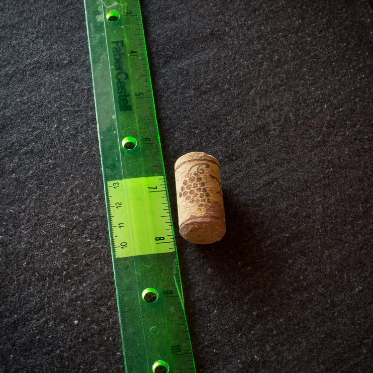 Macro photography extension tubes 750px 13