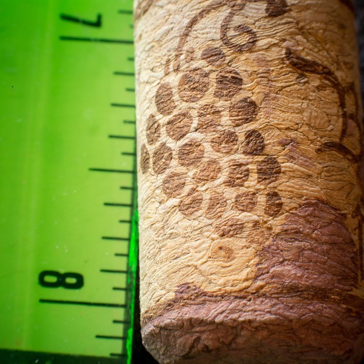 Macro photography extension tubes 750px 18