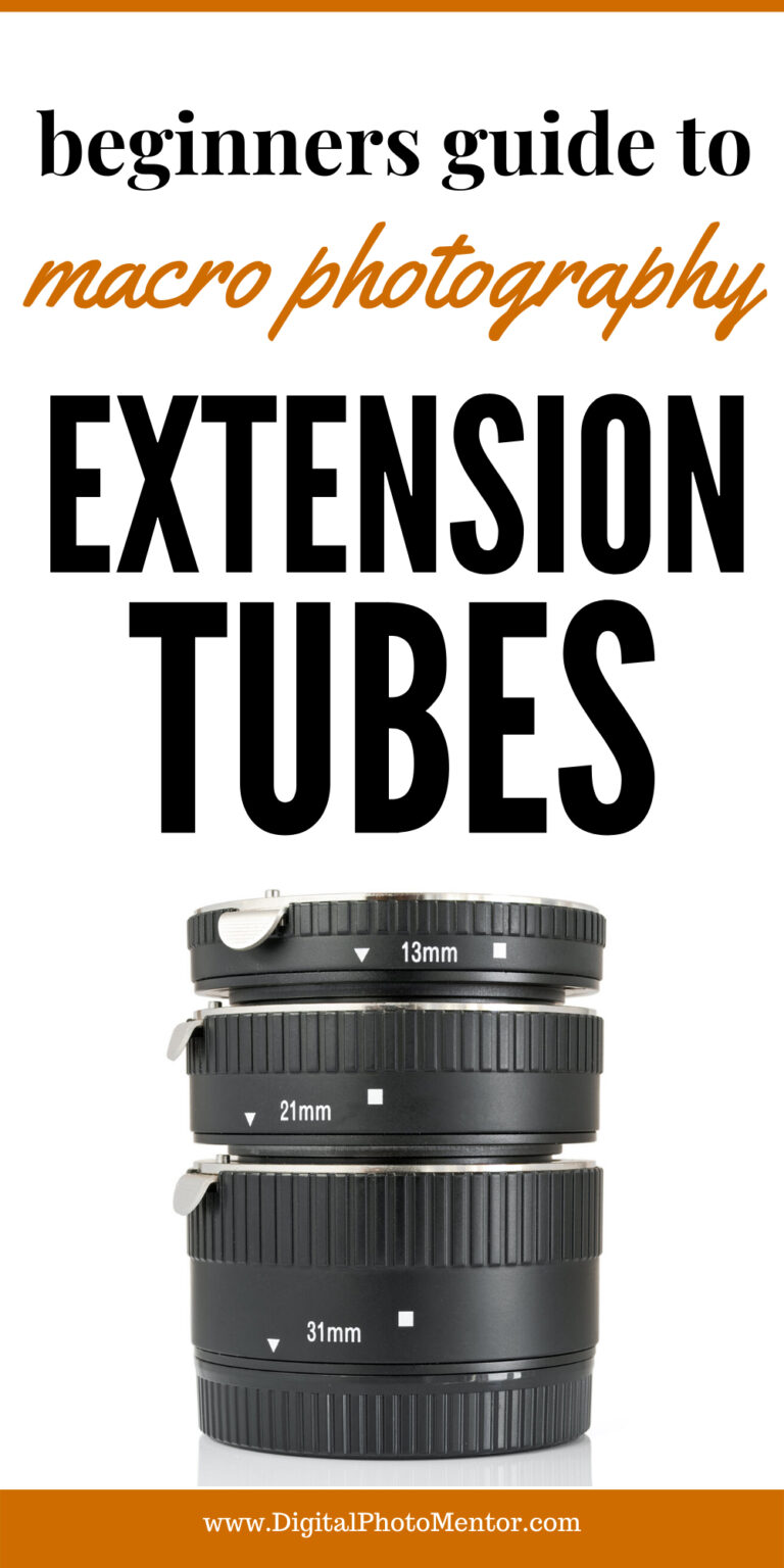 macro photography extension tubes beginners guide