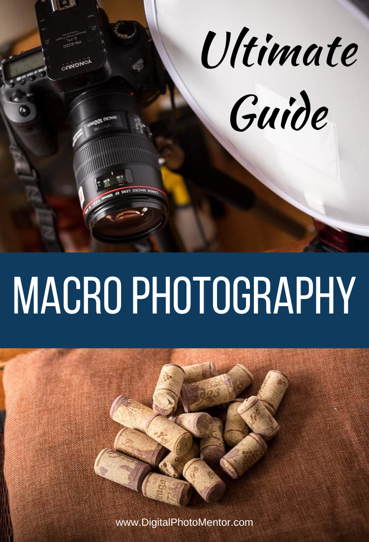 The ultimate macro photography guide to help beginners learn how to take photos of small things. Tips for camera settings and setup for macro photography.  Learn how to get sharp images and best lighting techniques for macro photography.