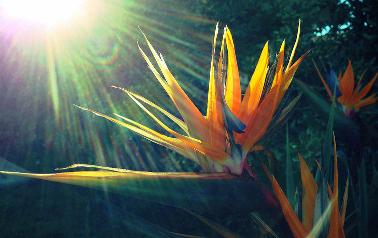 How to Develop the Art of Seeing Through Mindful Photography