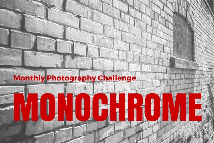 Monthly challenge monochrome