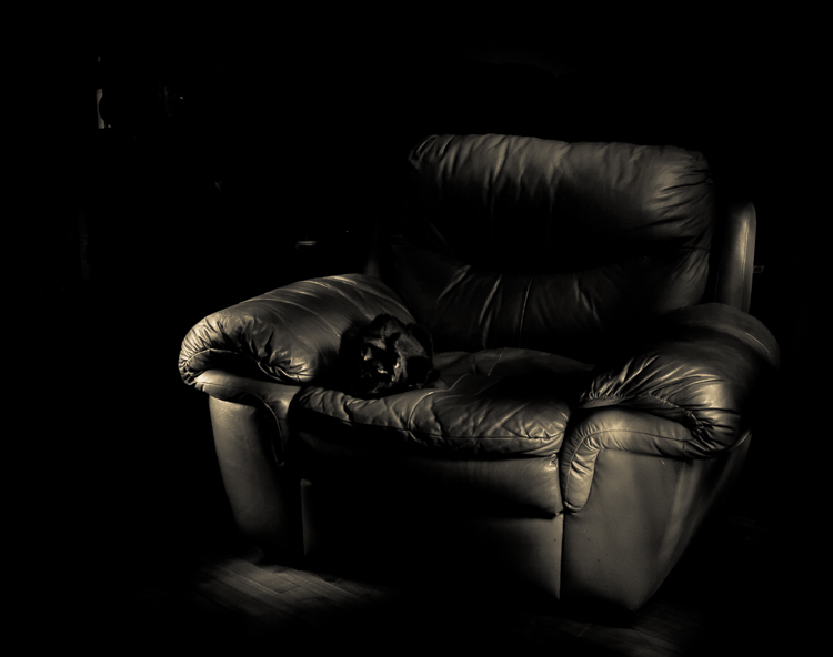 ordinary-extraordinary-750px-03