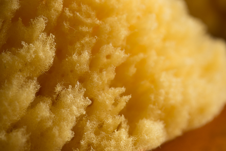 ordinary-extraordinary-750px-14