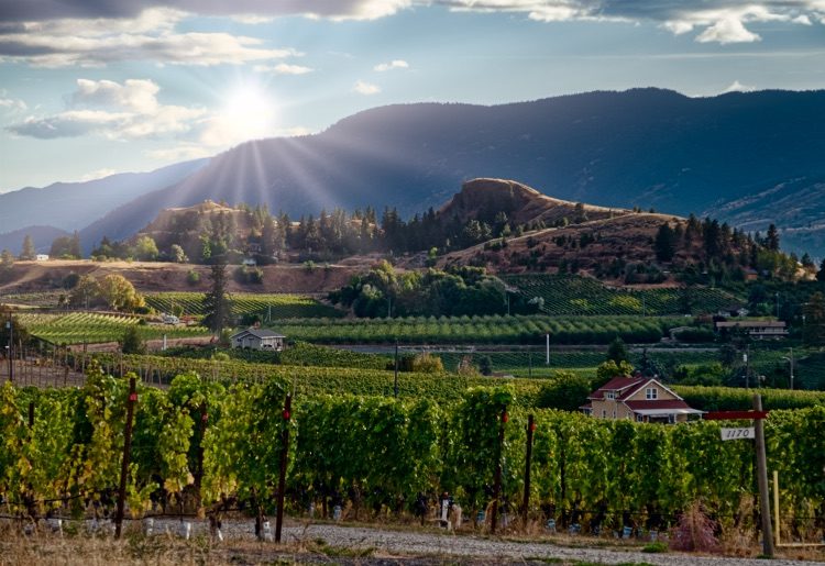 Penticton 2017 0927 luminar 03