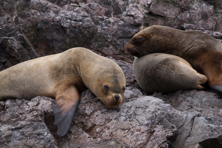 From this - unedited