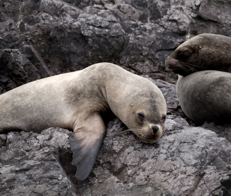 To this - edited, and fully able to tweak any edits, including get cropped parts back again.