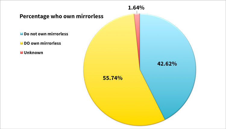 photographers who own mirrorless