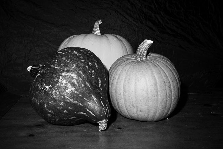 photography challenge playing with light 0002 750px