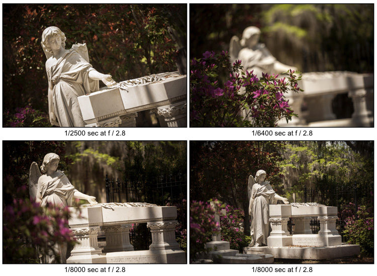 photography journey 09