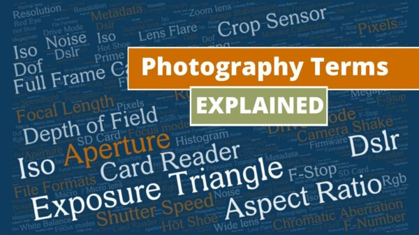 Photography terms for beginners, perfect as a camera club resource