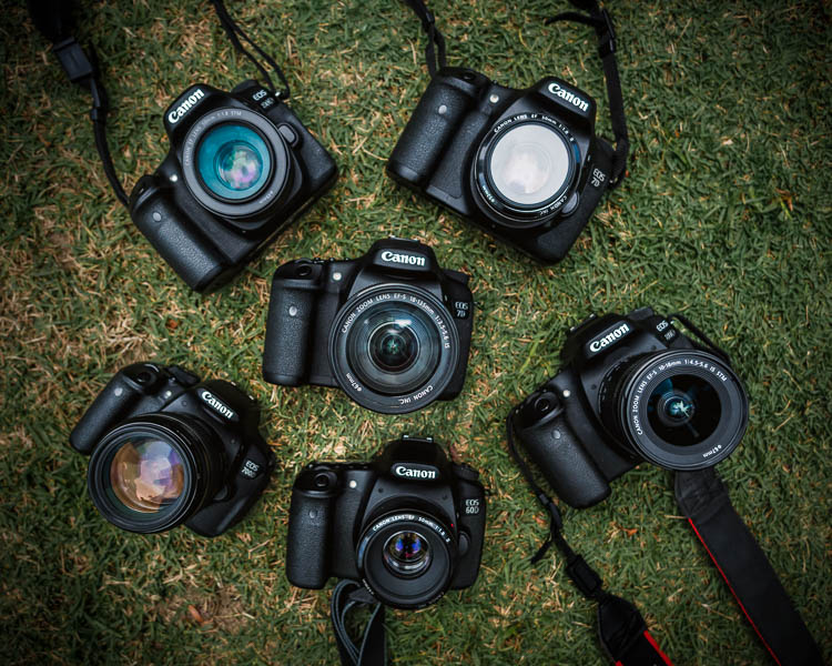 photo of six DSLR digital cameras