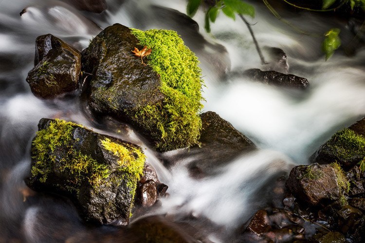 After using two duplicated layers and blend modes. One in Color Dodge mode which brought out more texture on the rocks, and a second in Screen mode which lightened the water. Both were masked to only apply on those smaller defined areas.
