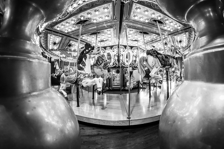 rokinon 8mm fish eye review 03