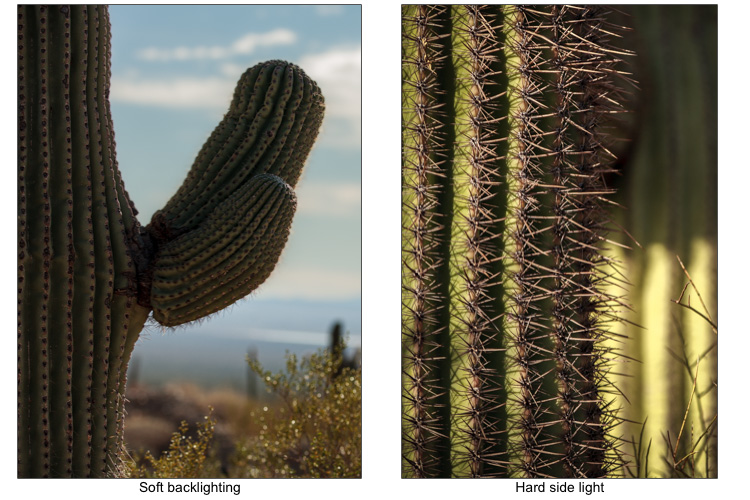 ruining your photos 03