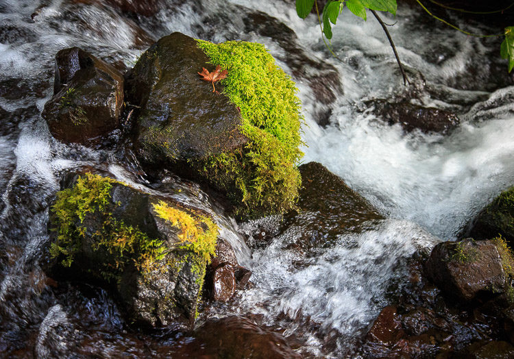 shutter speed 07 750px