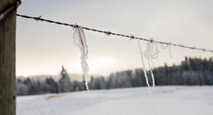 snow-winter-alberta-ice-1140px-01