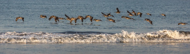 spray-pray-750px-03.jpg Spray pray 750px 03