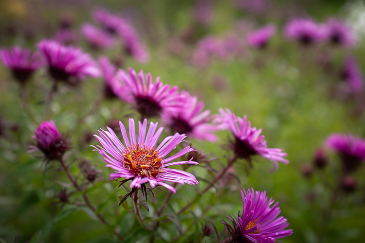 stop ruining photos 31 750px 1