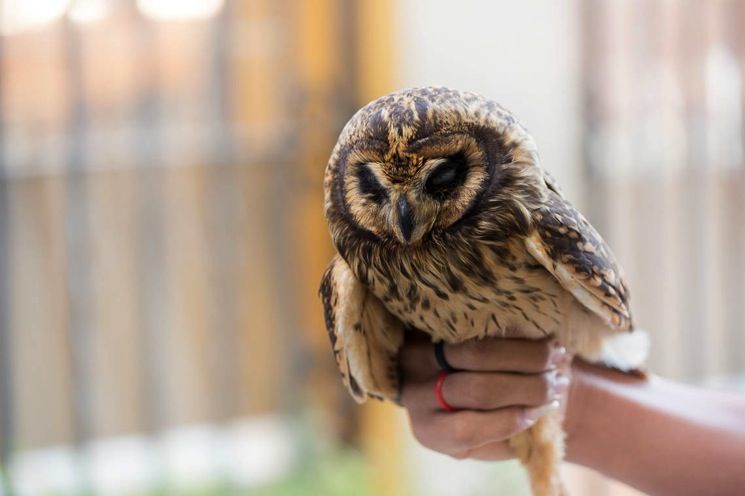 street-photography-tips-04.jpg Street photography tips 04