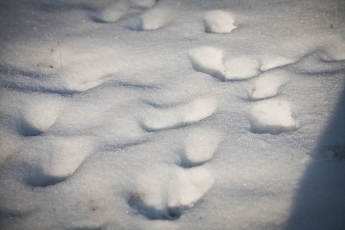 teaching-eg-027-blog1100 teaching eg 027 blog1100