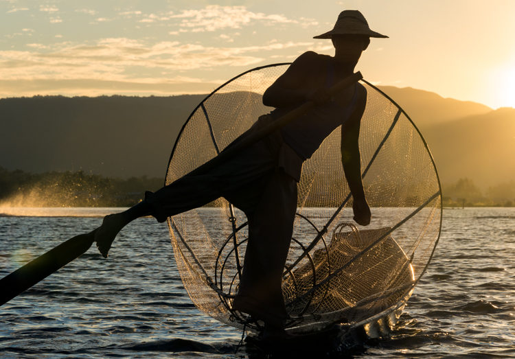 INLE LAKE, MYANMAR - CIRCA DECEMBER 2013: Fisherman with typical net and boat in the Inle Lake, Myanmar