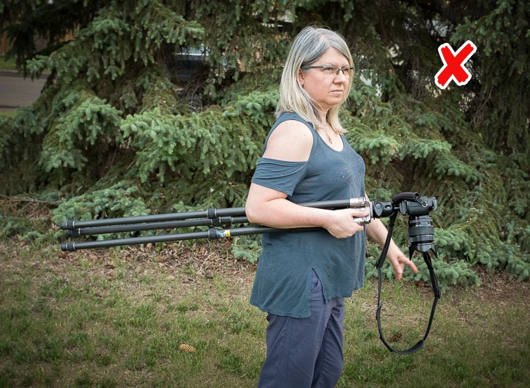 the wrong way to carry your camera tripod, with the legs extended and behind you.