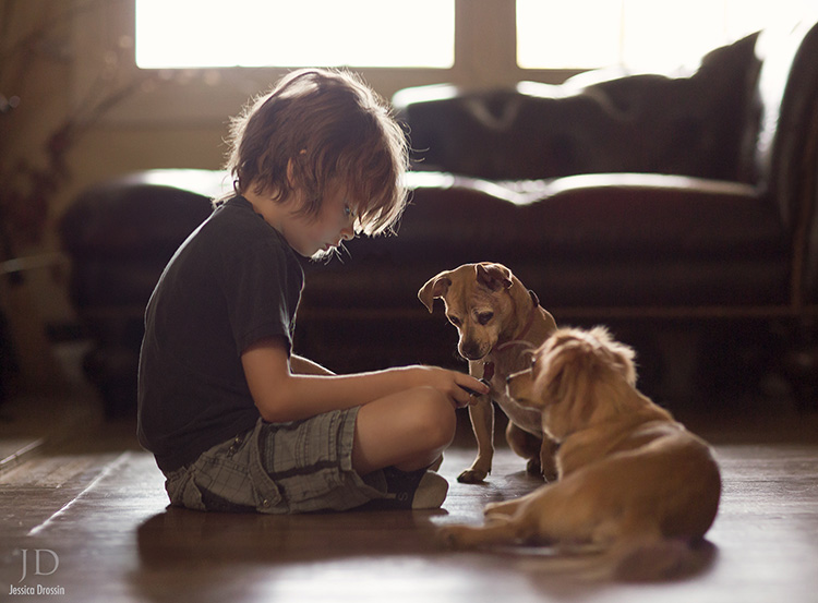 using a video game and pets as props for a happy family photo shoot with your kids