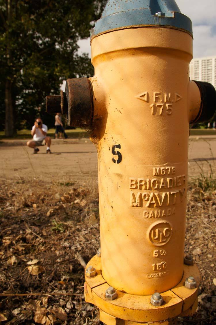 Boring close up photo of a fire hydrant