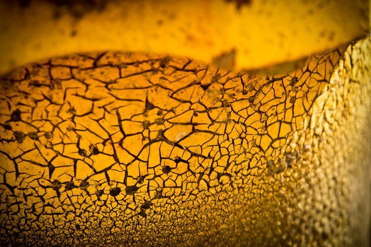 Same fire hydrant but much more interesting idea to photograph it up close with macro