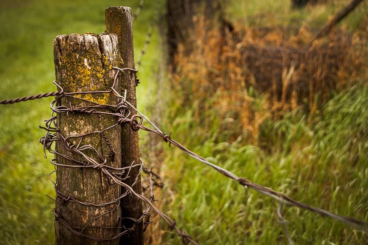 Farm photography ideas captures rural life like this fence post with barbed wire