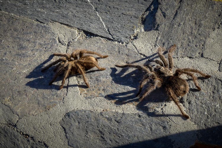 which-camera-750px-14