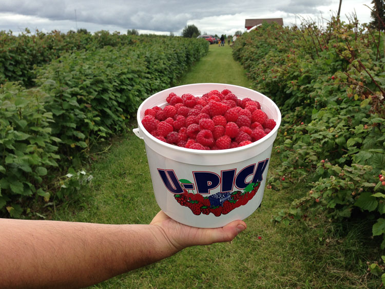 which-camera-750px-17