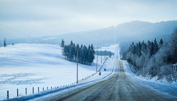 white balance examples 06