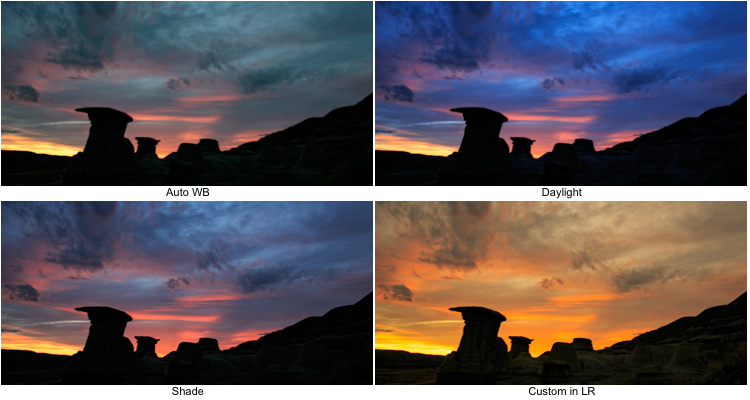 white balance examples 9