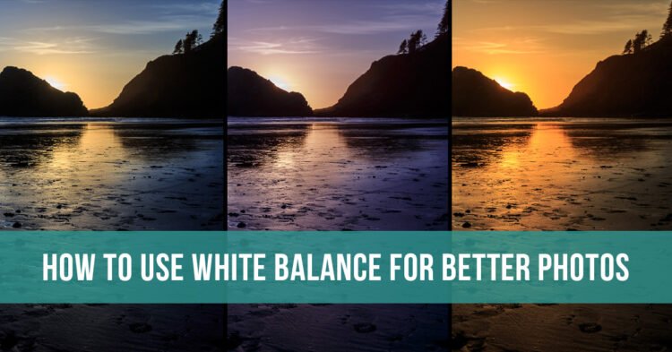 how to use camera white balance to improve your photos