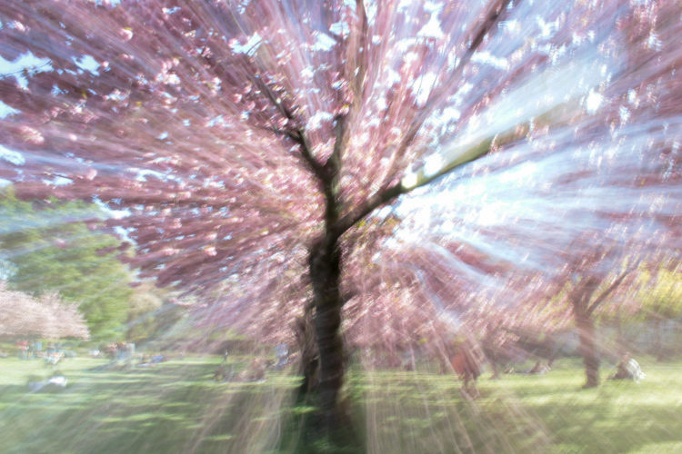 How to do a Zoom Burst Special Effect with Your Camera