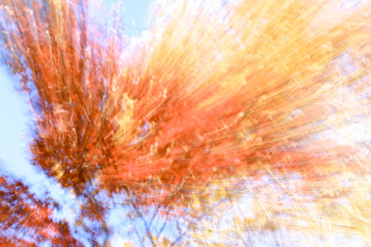 How to do a Zoom Burst Special Effect with Your Camera