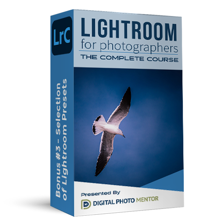 learn how to use lightroom classic presets with these bonus presets