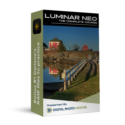 luminar neo course bonus 01