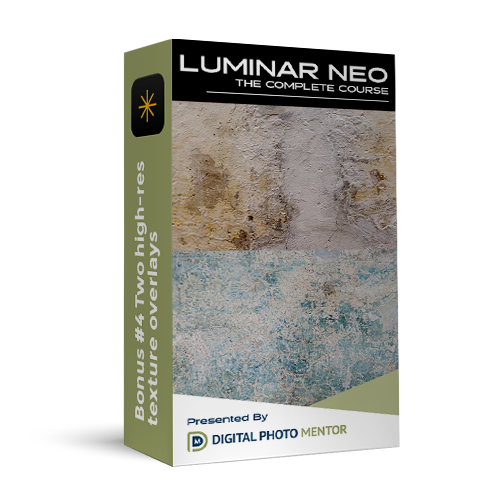 luminar neo course bonus 04