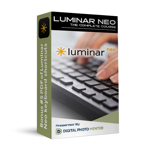 luminar neo course bonus 05