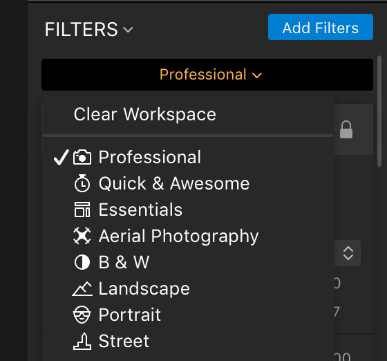 Luminar photo editor software filter panel screenshot