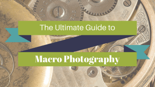 Ultimate guide to macro photography