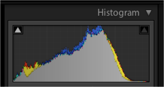 camera histogram showing gray