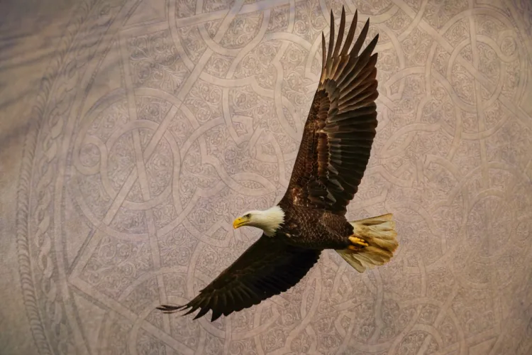 DPM Texture background overlays after 04