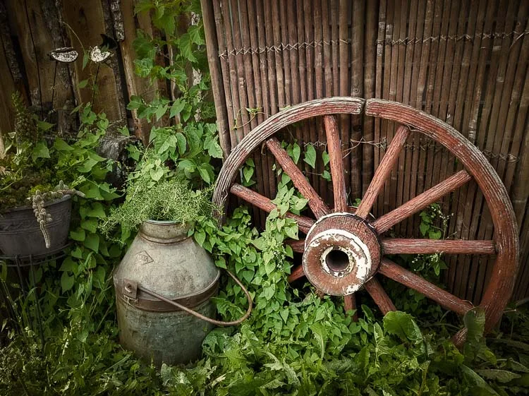 garden photography tips 01 750px jpg