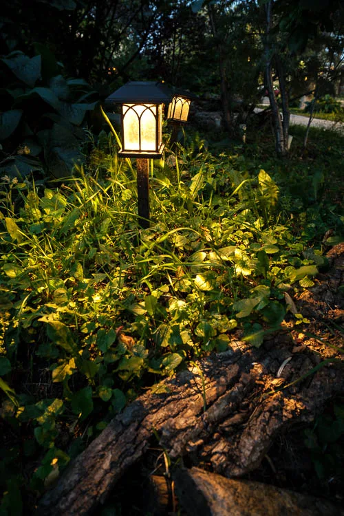 garden photography tips 41 750px jpg