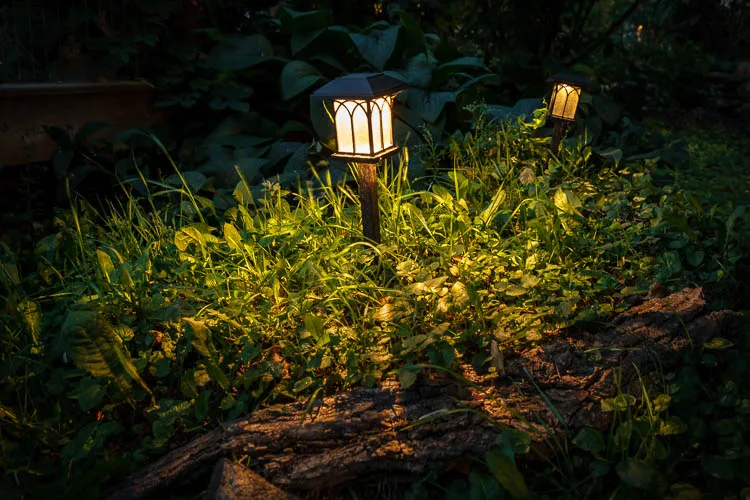 garden photography tips 43 750px jpg