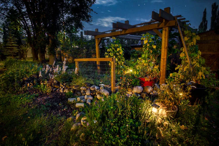 garden photography tips 44 750px jpg